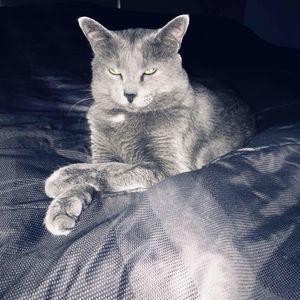 Meet your Posher, Jay